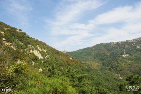 烟台大基山旅游攻略 之 夏景