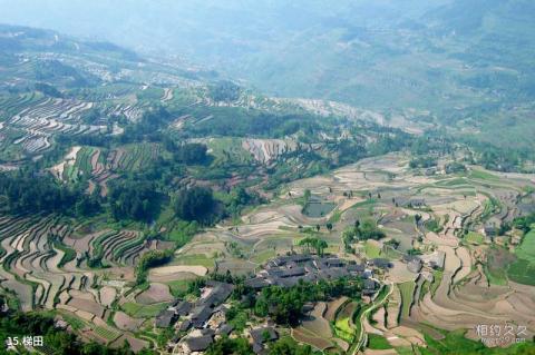 綦江古剑山清溪河风景区旅游攻略 之 梯田