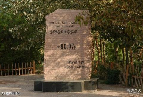 中科院吐鲁番沙漠植物园旅游攻略 之 植物园碑石