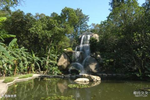 厦门万石山植物园旅游攻略 之 雨林世界