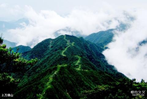 安徽万佛山国家森林公园旅游攻略 之 万佛山