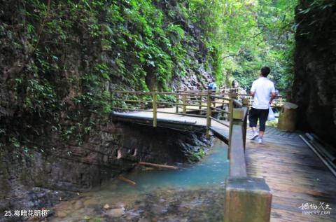 张家界大峽谷旅游攻略 之 柳暗花明桥