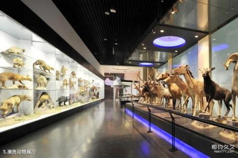 北京国家动物博物馆旅游攻略 之 濒危动物展厅
