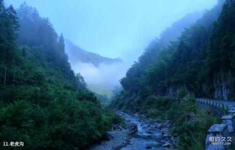 庆元县百山祖国家级自然公园旅游攻略 之 老虎沟