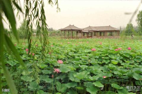 合阳洽川风景名胜区旅游攻略