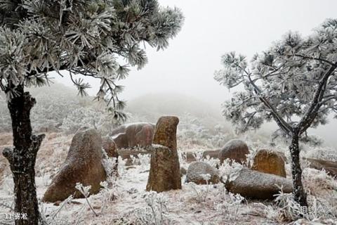 福建九仙山风景区旅游攻略 之 雾凇