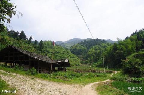 洪江雪峰山风景区旅游攻略 之 森林公园