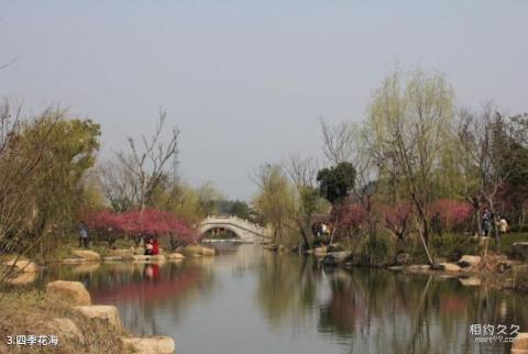 浙江超山风景区旅游攻略 之 四季花海