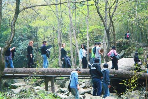 杭州神龙川风景旅游度假区旅游攻略 之 远志桥