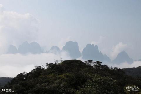 金秀大瑶山风景区旅游攻略 之 五指山