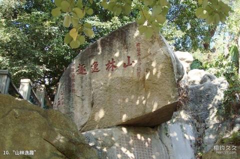 厦门中山公园旅游攻略 之 “山林逸趣”