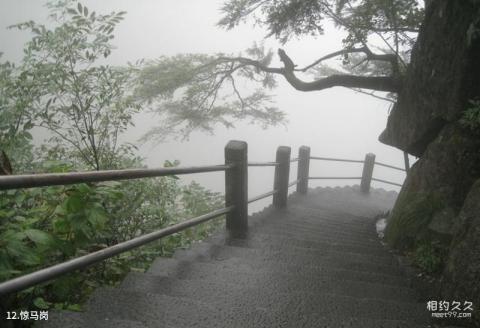 临安大明山风景区旅游攻略 之 惊马岗