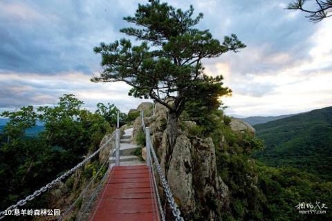 森工清河林区旅游景区旅游攻略 之 悬羊岭森林公园