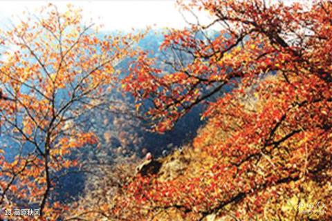 崇信龙泉寺旅游攻略 之 高原秋风