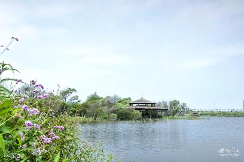 哈尔滨金河湾湿地植物园旅游攻略 之 五池