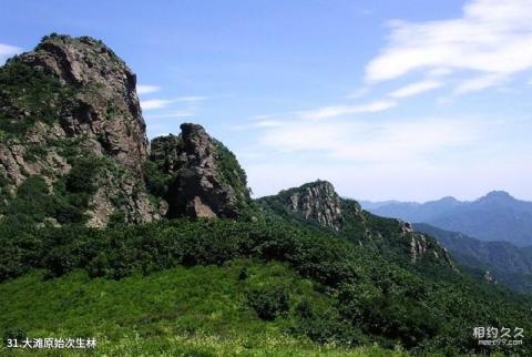 延庆百里画廊旅游攻略 之 大滩原始次生林