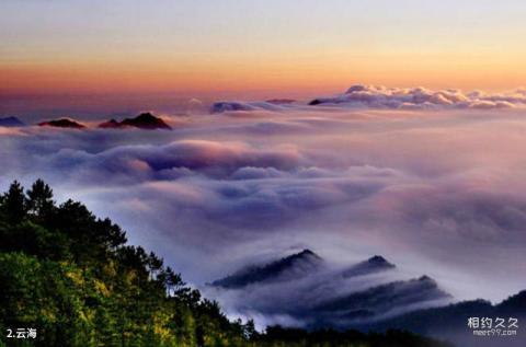 福建天宝岩国家级自然保护区旅游攻略 之 云海