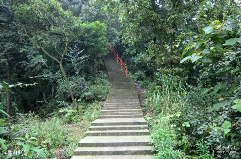 重庆巴岳山―西温泉风景区旅游攻略 之 登山步道