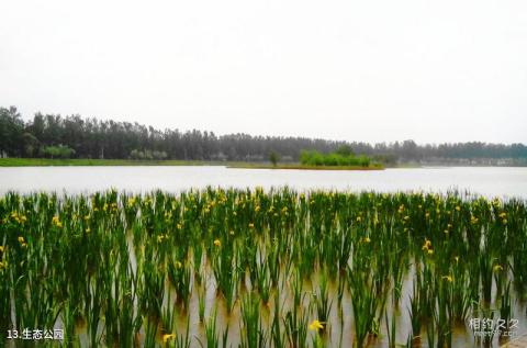 三门峡黄河公园旅游攻略 之 生态公园