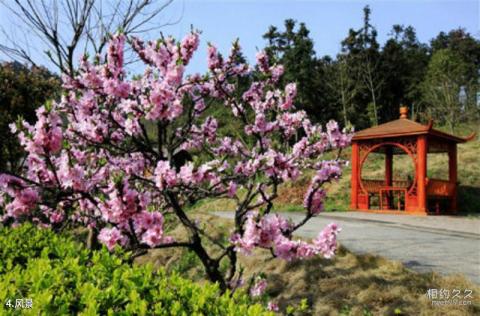 襄阳凤凰温泉旅游攻略 之 风景