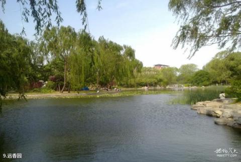 北京玉渊潭公园旅游攻略 之 远香园