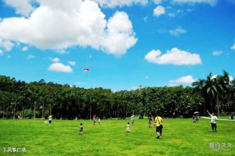 深圳莲花山公园旅游攻略 之 风筝广场