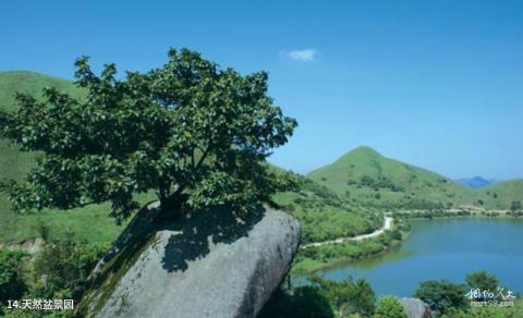 南山牧场大草原旅游攻略 之 天然盆景园