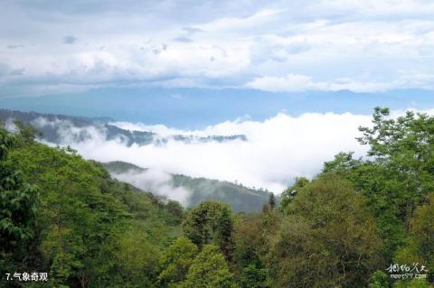 屏边大围山风景区旅游攻略 之 气象奇观