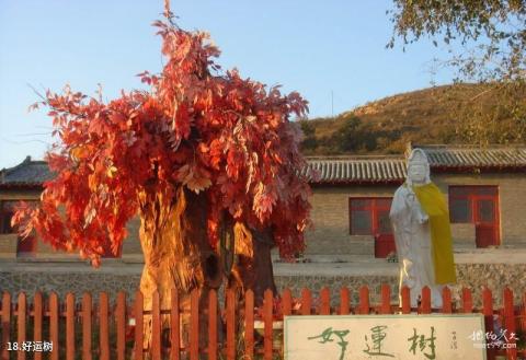 铁岭大台山灵山寺风景区旅游攻略 之 好运树