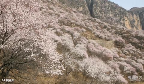 邢台九龙峡旅游攻略 之 桃花岭