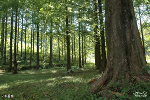 淮北相山公园旅游攻略 之 科普园