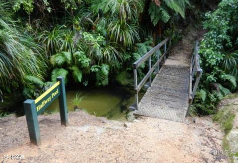新西兰阿贝尔·塔斯曼国家公园旅游攻略 之 中途池