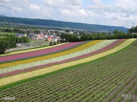 日本北海道旅游攻略 之 富田农场