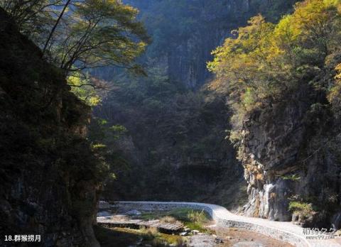 陵川凤凰欢乐谷旅游攻略 之 群猴捞月