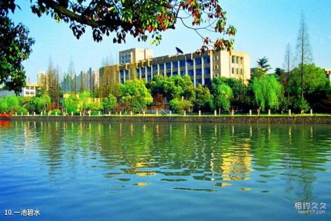 浙江工业大学校园风光 之 一池碧水