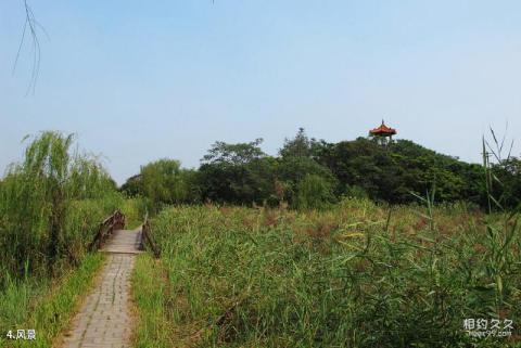 淄博马踏湖风景区旅游攻略 之 风景