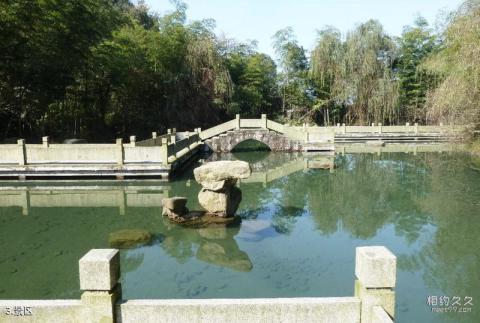 富阳天钟山旅游攻略 之 景区