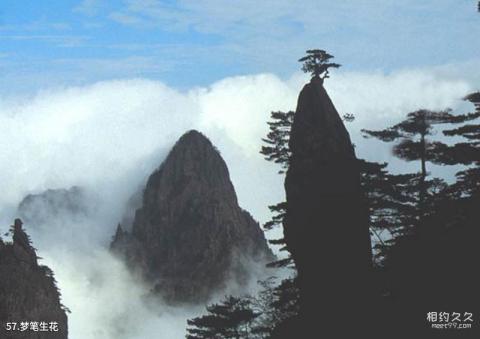 黄山风景区旅游攻略 之 梦笔生花