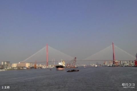 上海杨浦大桥旅游攻略 之 主桥
