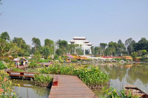 广州海珠湿地公园旅游攻略 之 中心湖