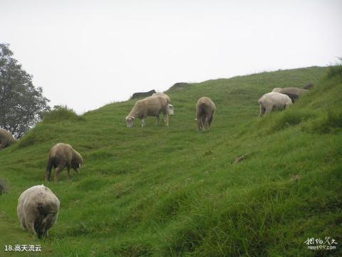 南山牧场大草原旅游攻略 之 高天流云