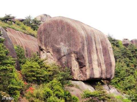 乐清白象茗山旅游攻略