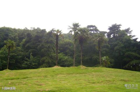 南京红山森林动物园旅游攻略 之 园林景观