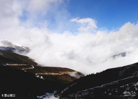 白马雪山高山杜鹃林旅游攻略 之 雪山垭口