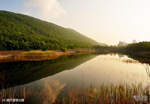 高雄莲池潭风景区旅游攻略 之 洲仔湿地公园