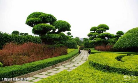 南宁南湖公园旅游攻略 之 南湖环湖雨林景观带