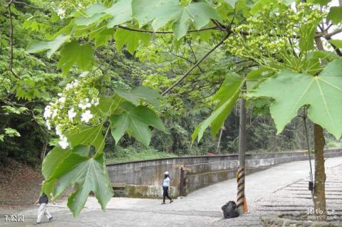 台湾彰化八卦山风景区旅游攻略 之 公园