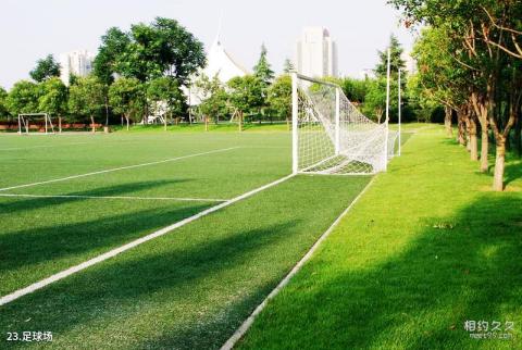 西安城市运动公园旅游攻略 之 足球场