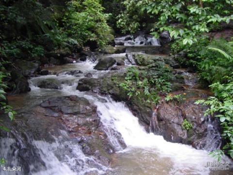 瑞丽莫里热带雨林风景区旅游攻略 之 扎朵河