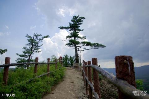 黑龙江桃山桃源湖旅游区旅游攻略 之 擎天松